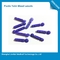 Chirurgiczne jednorazowe krwawe krwinki do badań krwi Glukozy Materiał plastikowy